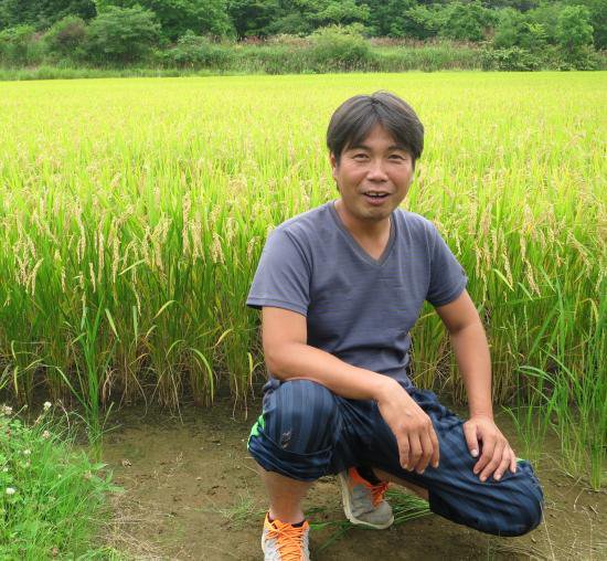 東京都北区のお米屋さん 農家直送米篠原ライス オンラインショップ グランプリ受賞生産者宮武さんの特別栽培 ゆめぴりか