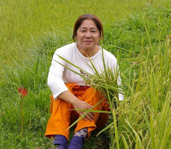 中村さんの湧水米にこまる