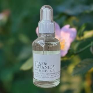 ܥǥ <p></p>եå奷ȥ饹 / ꡼ե쥹 / Ρ֥ե