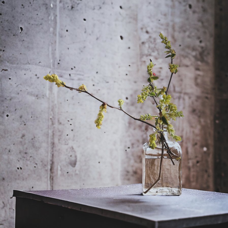 バカラ 花瓶 フラワーベース Metronome Vase 入りこん