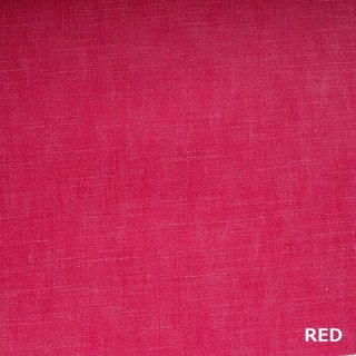 ӥåǥ˥RED