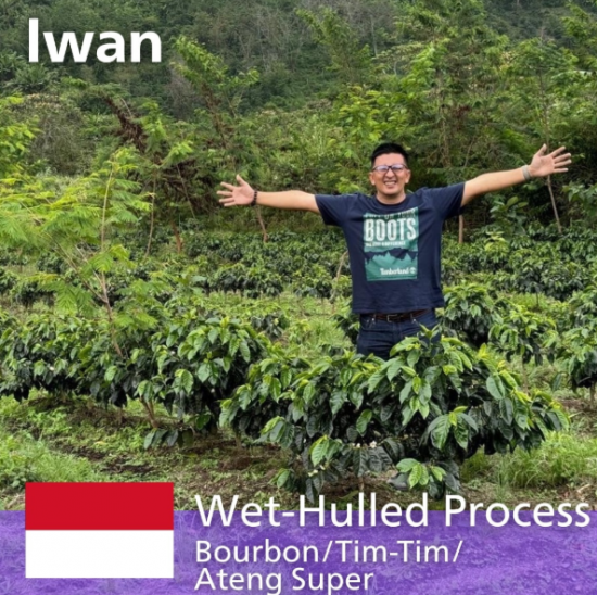 ޥǥ󡦥ץȥ顦ڿ100