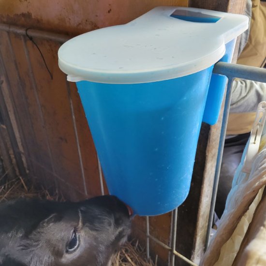 Calf feeding bucket 6 liters (set with heat-retaining silicone cover included)