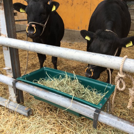 餌 入れ 【 ミールフィーダー 30リットル 】給餌器 飼槽 エサ入れ 牛用 ポリエチレン製 牛 ウシ 羊 ヒツジ 豚 ブタ エサ入れ ゲージ えさ箱  ケース 餌 給餌 飼料 高密度ポリエチレン製 壁掛け フック付き DIY 酪農 畜産 放牧 家畜 農場