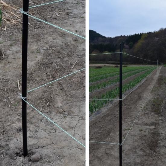 電気柵 ポール【グラファイポール26型(2100mm)10本束】【 絶縁 樹脂 し