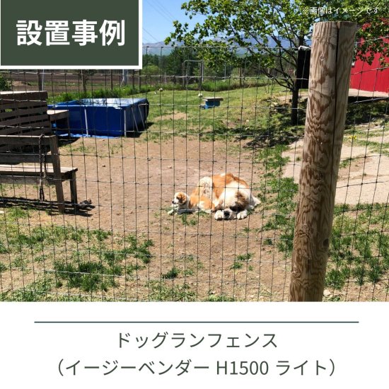 シカ・小動物用】フィールドフェンス 高さ2m×50m巻 【金網 フェンス メッシュ 固定 フェンス フィールドフェンス ネットフェンス つなぐ 繋ぐ  直径48.6mm 鉄柱 単管 パイプ 固定金具 DIY 連結金具 獣害 放牧 ファームエイジ FAR夢 】