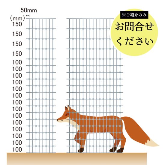 シカ・小動物用】フィールドフェンス 高さ2m×50m巻 【金網 フェンス メッシュ 固定 フェンス フィールドフェンス ネットフェンス つなぐ 繋ぐ  直径48.6mm 鉄柱 単管 パイプ 固定金具 DIY 連結金具 獣害 放牧 ファームエイジ FAR夢 】