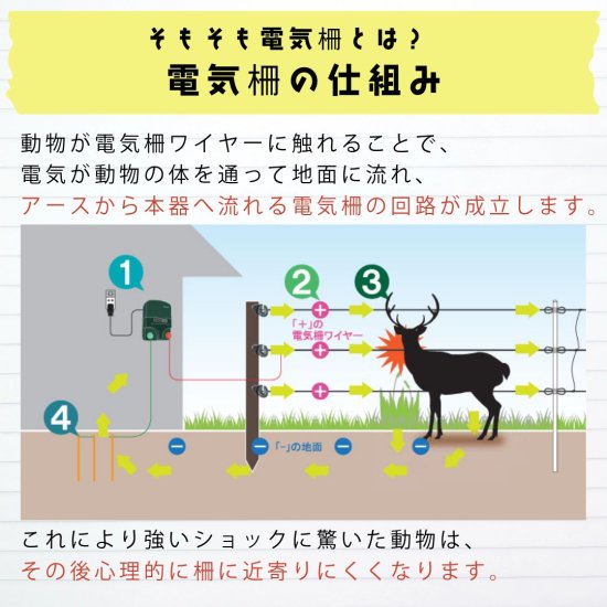 家庭菜園100ソーラー（オンライン限定セット・周囲100ｍ・家庭菜園向け）※海外発送不可