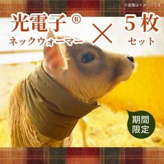 【期間限定】ファームウォーマー5枚セット(子牛用光電子®ネックウォーマー)