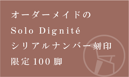 ᥤɤSlolo Dignite ꥢʥС 100