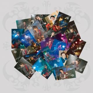 <img class='new_mark_img1' src='https://img.shop-pro.jp/img/new/icons1.gif' style='border:none;display:inline;margin:0px;padding:0px;width:auto;' />ȥ졼ǥ󥰥 ver.5