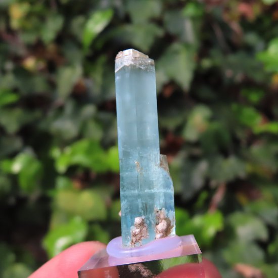 ネパール タプレジュン郡 カンチェンジュンガ山域 産 アクアマリン 7.9g｜Mabolocci Crystal｜ヒマラヤ水晶専門店 マボロシ