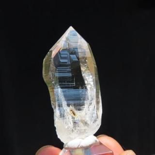 ���͡�����ҥޡ��뻺  ñ�뾽 35.6g