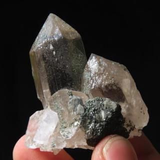 ���͡�����ҥޡ��뻺 ���� �饤�ȥ��⡼���� ���졢��ť���դ� 64.7g