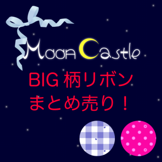 Adult̲ʡܥBIGMoon CastleNo.40013C<img class='new_mark_img2' src='https://img.shop-pro.jp/img/new/icons8.gif' style='border:none;display:inline;margin:0px;padding:0px;width:auto;' />