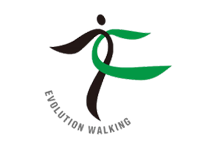 Evolution Walking ܥ塼󥦥
