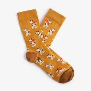 Dodo socksBuddy Socks | 1 pairs (åã­)