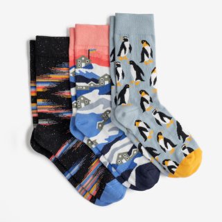 Dodo socksVernadsky Socks | 3 pairs (ʥĥåã­)