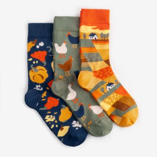 Dodo socksHarvest Socks | 3 pairs (Ϻץåã­)<img class='new_mark_img2' src='https://img.shop-pro.jp/img/new/icons1.gif' style='border:none;display:inline;margin:0px;padding:0px;width:auto;' />