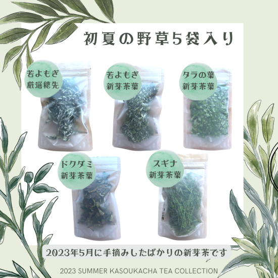 todo様専用】無農薬 どくだみ茶5 桑の葉茶5 - 茶