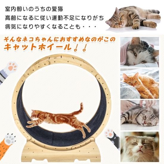 キャットホイール トレッドミル ルームランナー - アールズセーリング