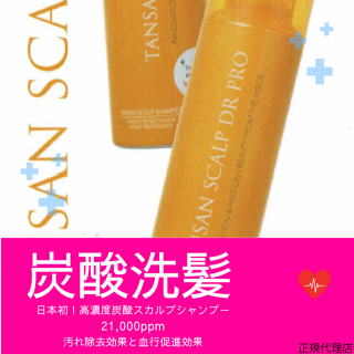 TANSANDRץʥס200硡ڥ᡼úۤξʲ