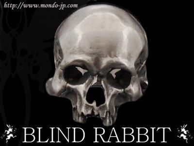 Evolution I Aging［BLIND RABBIT］23号 BLIND RABBIT-ブラインドラビット-Evolution I Aging one-eyes