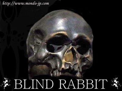 Evolution I Aging［BLIND RABBIT］23号 Evolution I Aging［BLIND RABBIT］23号