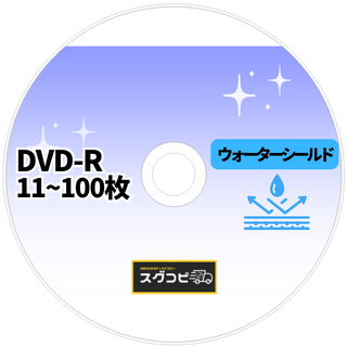 <img class='new_mark_img1' src='https://img.shop-pro.jp/img/new/icons29.gif' style='border:none;display:inline;margin:0px;padding:0px;width:auto;' />DVD-Rԡ11100ʥɡˡ1ñ95()