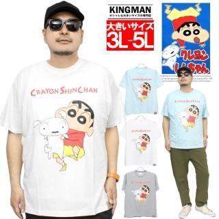 󤷤 Ⱦµ T  礭 Τ  ץ 롼ͥå åȥ ȾµT  Τ åȥ ⤷t