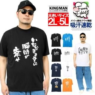 ⤷ Ⱦµ T  礭 ץ ɥ饤 å ۴® åȥ⤷T  㥰 ͥ ץ쥼 å ͥ 