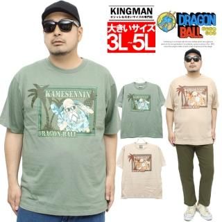 DRAGONBALL(ɥ饴ܡ) Ⱦµ T   饯 ӥå ץ 롼ͥå åȥ ȾµT ץT ȥåץ