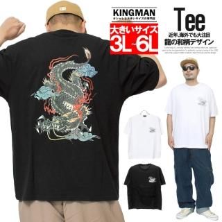 Ⱦµ T  礭  ζ Хå ץ 롼ͥå åȥ ץT ȾµT ɥ饴   ȥ ᥫ 