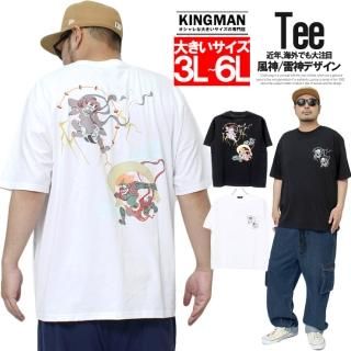 Ⱦµ T  礭    Хå ץ 롼ͥå åȥ ץT ȾµT    ȥ ᥫ 