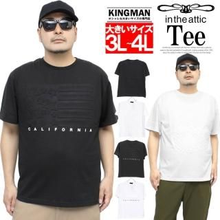 in the attic(󥸥ƥå) Ⱦµ T  礭 ܥù ץ 롼ͥå åȥ  ֥å  ۥ磻 ȥåץ