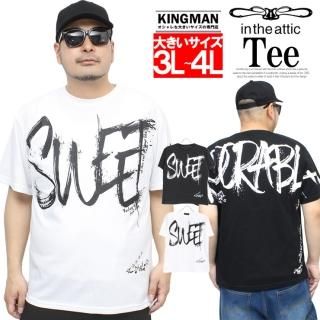 in the attic(󥸥ƥå) Ⱦµ T  礭 ӥå  ץ 롼ͥå åȥ  ֥å  ۥ磻 ȥåץ