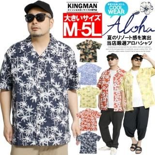 ϥ  礭 Ⱦµ  åȥ ܥ˥  ץ󥫥顼 Ⱦµ    ϥӥ  ϥ磻 ꥾  