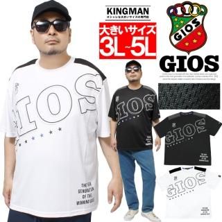 GIOS() Ⱦµ T  礭 ɥ饤 å ۴®  ץ 롼ͥå åȥ ȾµT    ݡ