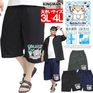 ᡼ؤ̵ ֤ͤ(ǭ޼) 硼ȥѥ  礭 ץ ۿ® ɥ饤 ɨ ϡեѥ ûѥ Ⱦѥ 硼