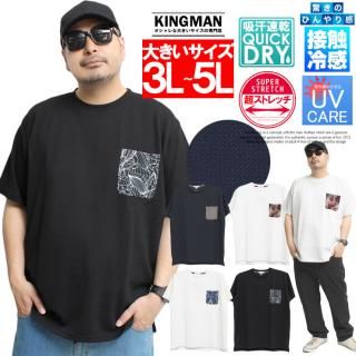 ڥ᡼ؤ̵Ⱦµ T  礭 ܿ䴶 ® ȥå ɥ饤 åե ݥåդ 롼ͥå åȥ 糰к