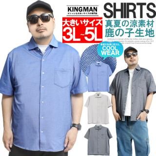  ݥ  礭 ֥졼 λ ե륪ץ Ⱦµ ե륪ץ󥷥 ե ӥͥ ȥåץ