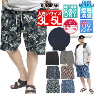 ᡼ؤ̵ 硼ȥѥ  礭 ܿ䴶 ® ȥå ɥ饤 åե ̵ ܥ˥ ϡեѥ 硼 ѥ