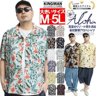 ڥ᡼ؤ̵ ϥ  礭 Ⱦµ 졼 ܥ˥  Ⱦµ    ϥӥ  ϥ磻 ꥾