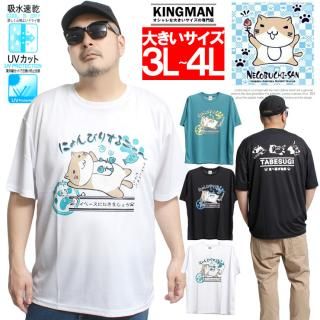 ᡼ؤ̵ ֤ͤ(ǭ޼) Ⱦµ T  礭 ץ ۿ® å ɥ饤 롼ͥå åȥ ǭ ͥ