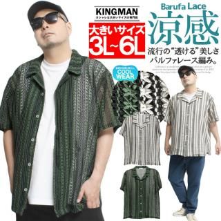 å Ⱦµ  Ʃ  Хե 졼 ȥ饤 ץ󥫥顼  롼  ȥåץ å奷