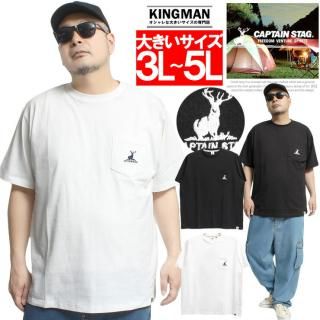 ᡼ؤ̵ CAPTAIN STAG(ץƥ󥹥å) Ⱦµ T  礭 ݥåդ ɽ  ץ 롼ͥå åȥ