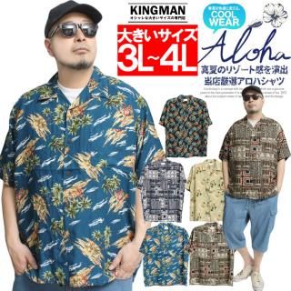 ᡼ؤ̵ ϥ  礭 ܥ˥ ˥å ꥾ 졼 Ⱦµ ץ󥫥顼ġȾµ ܿ䴶