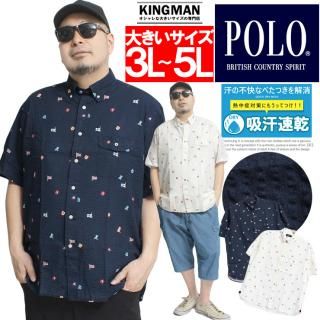 ᡼ؤ̵ POLO BCS(ݥ ӡ) Ⱦµ  礭 åץǺ ѹ  ץ ܥ󥷥