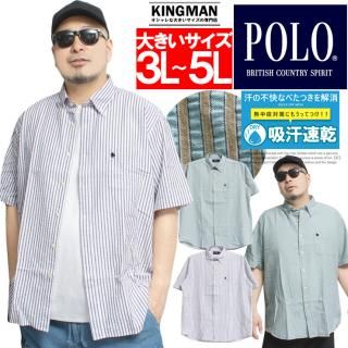 ᡼ؤ̵ POLO BCS(ݥ ӡ) Ⱦµ  礭 åǺ ܥ ȥ饤ץ 奢륷