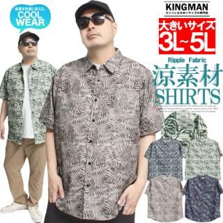 ᡼ؤ̵ Ⱦµ  礭 ۴® ɥ饤 饤ȥåץǺ  ץ 奢륷 ܥ˥ ޡ ȥåץ